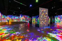 Mark Zhelezoglo for Hall des Lumières