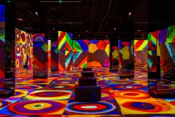 Mark Zhelezoglo for Hall des Lumières